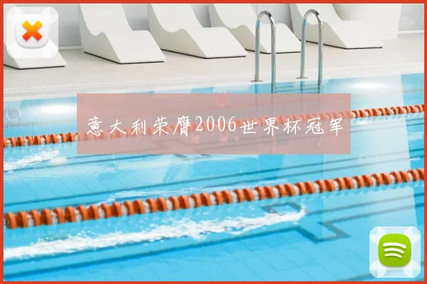 意大利荣膺2006世界杯冠军
