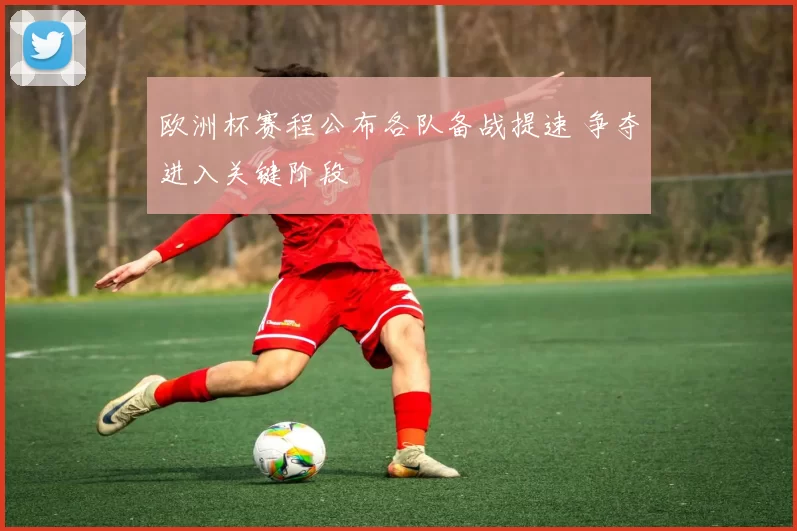 欧洲杯赛程公布各队备战提速 争夺进入关键阶段