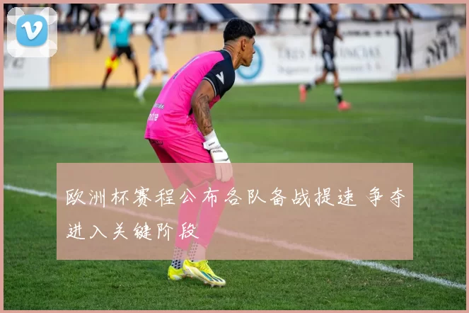 欧洲杯赛程公布各队备战提速 争夺进入关键阶段