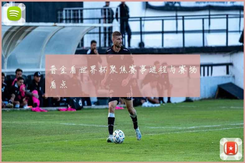 普金看世界杯聚焦赛事进程与赛场看点