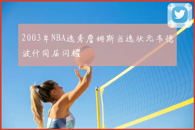 2003年NBA选秀詹姆斯当选状元韦德波什同届闪耀