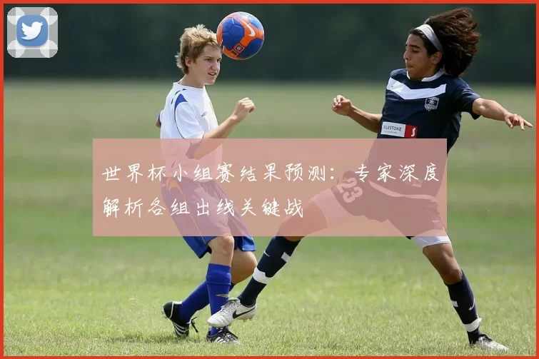 世界杯小组赛结果预测：专家深度解析各组出线关键战