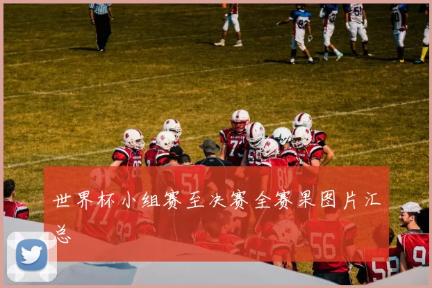 世界杯小组赛至决赛全赛果图片汇总