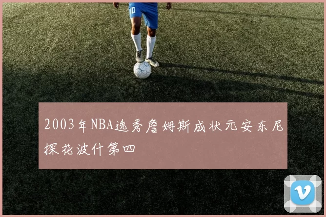 2003年NBA选秀詹姆斯成状元安东尼探花波什第四