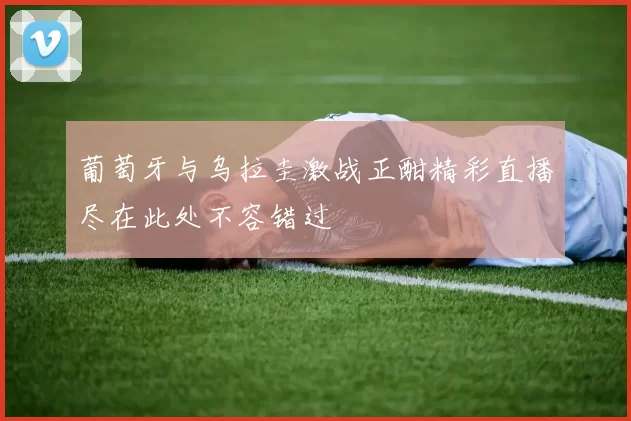 葡萄牙与乌拉圭激战正酣精彩直播尽在此处不容错过