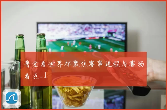 普金看世界杯聚焦赛事进程与赛场看点_1