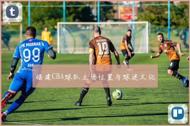 福建CBA球队主场位置与球迷文化