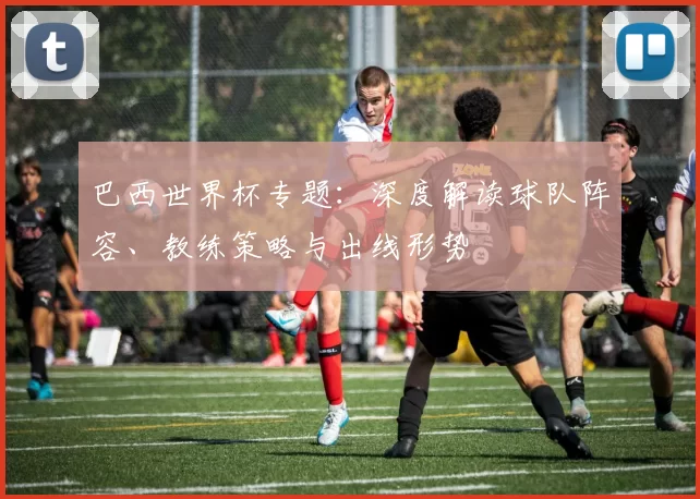 巴西世界杯专题：深度解读球队阵容、教练策略与出线形势
