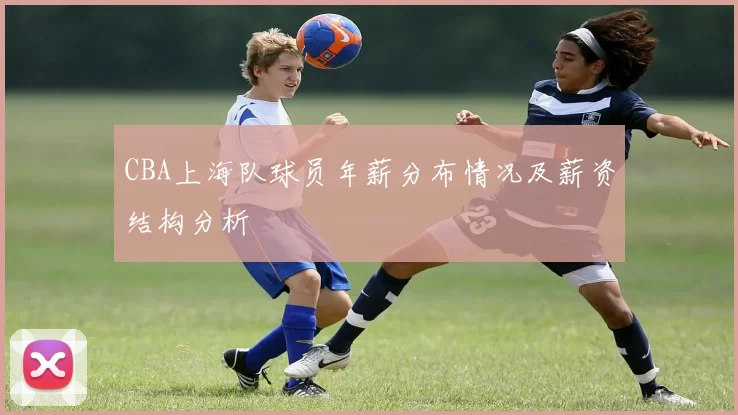 CBA上海队球员年薪分布情况及薪资结构分析