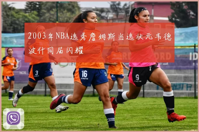 2003年NBA选秀詹姆斯当选状元韦德波什同届闪耀