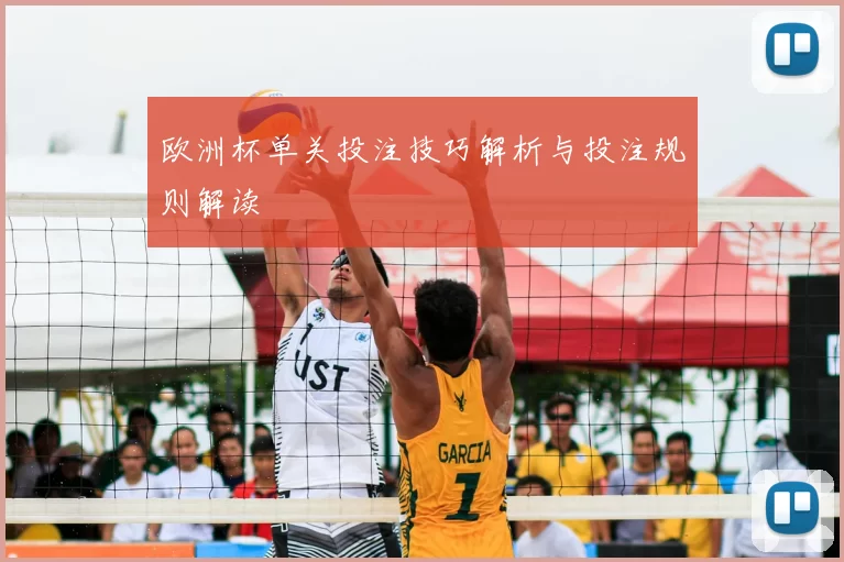 欧洲杯单关投注技巧解析与投注规则解读