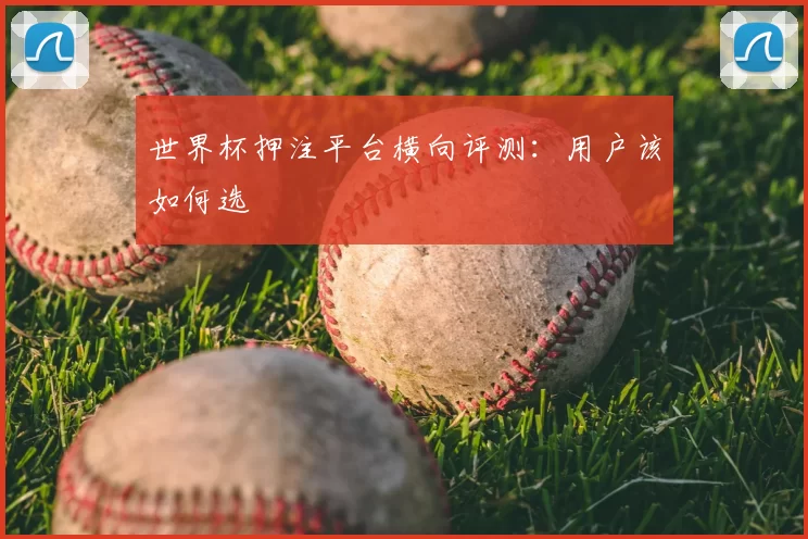世界杯押注平台横向评测:用户该如何选