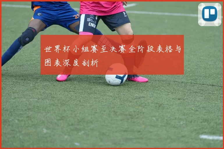 世界杯小组赛至决赛全阶段表格与图表深度剖析