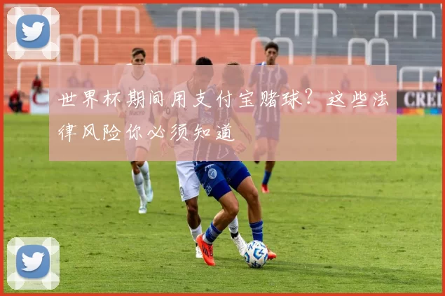 世界杯期间用支付宝赌球？这些法律风险你必须知道